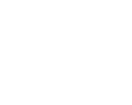 GGS Alcool Licensing Services